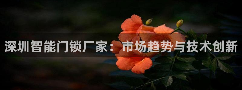 开丰娱乐注册自判官333OO：深圳智能门锁厂家：市场趋势与技