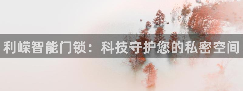 开丰娱乐手机app：利嵘智能门锁：科技守护您的私密空间