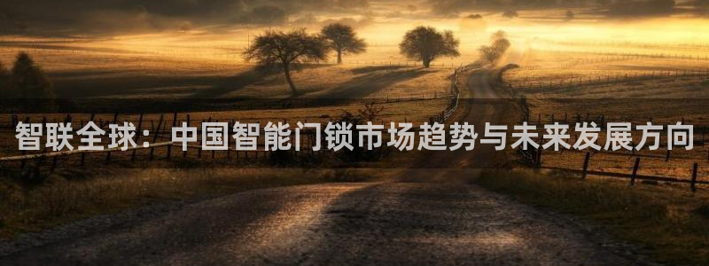 如何注册开丰娱乐账号：智联全球：中国智能门锁市场趋势与未来发