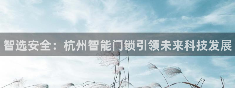开丰娱乐登录平台下载：智选安全：杭州智能门锁引领未来科技发展