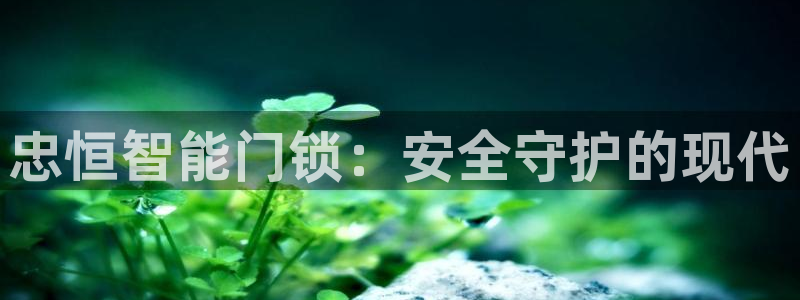 开丰娱乐手机app：忠恒智能门锁：安全守护的现代