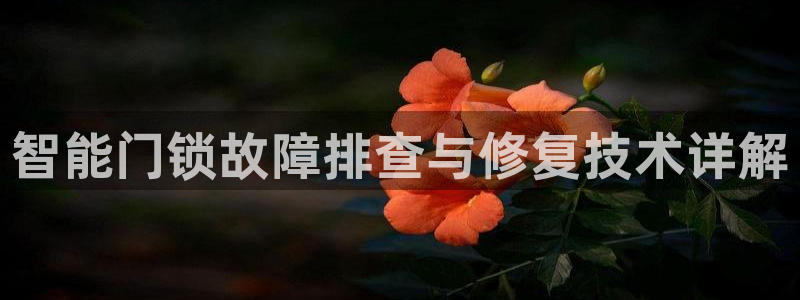 开丰娱乐网址：智能门锁故障排查与修复技术详解