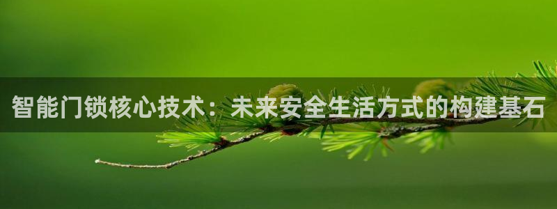 开丰娱乐主管家去判官333OO：智能门锁核心技术：未来安全生