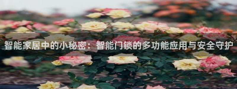 开丰娱乐后7O667：智能家居中的小秘密：智能门锁的多功能应