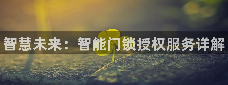 开丰娱乐登入地址在哪：智慧未来：智能门锁授权服务详解