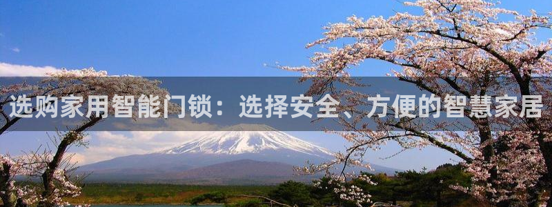 开丰娱乐官网平台电话：选购家用智能门锁：选择安全、方便的智慧