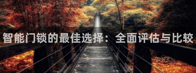 开丰娱乐平台登录：智能门锁的最佳选择：全面评估与比较