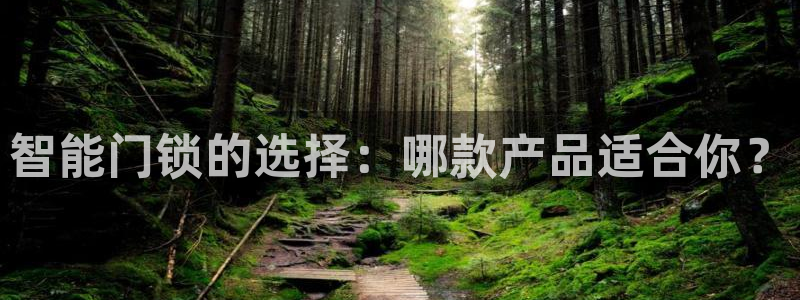 开丰娱乐官网招聘：智能门锁的选择：哪款产品适合你？