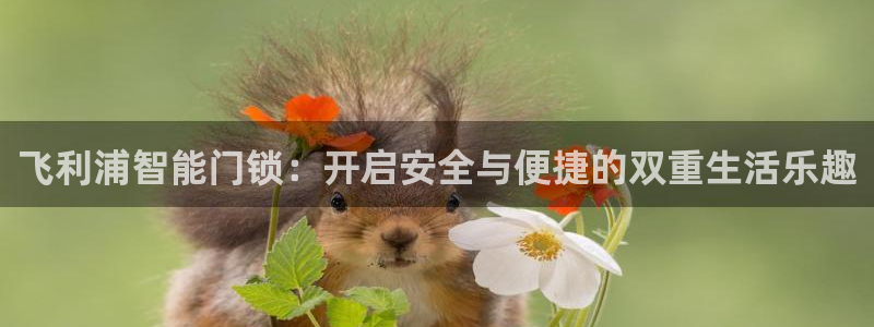 开丰娱乐登录网址：飞利浦智能门锁：开启安全与便捷的双重生活乐