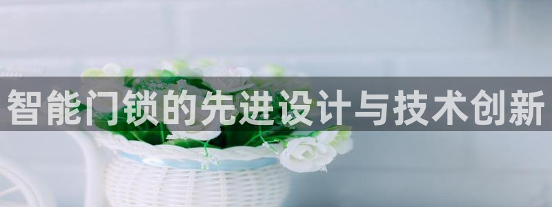 开丰娱乐 赢咖一：智能门锁的先进设计与技术创新