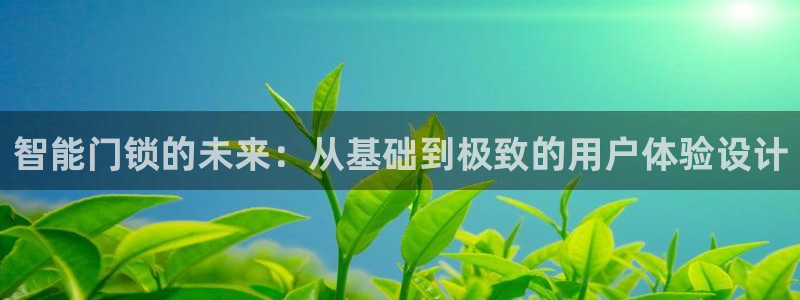开丰娱乐app：智能门锁的未来：从基础到极致的用户体验设计