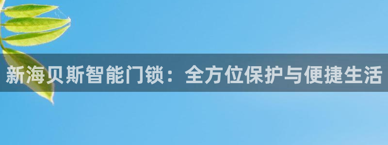 开丰娱乐上：新海贝斯智能门锁：全方位保护与便捷生活