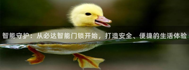 开丰娱乐万六七五一38：智能守护：从必达智能门锁开始，打造安