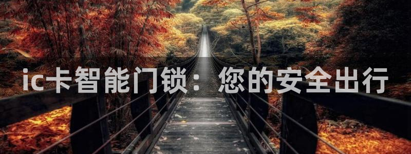 开丰娱乐巾67五壹叁八：ic卡智能门锁：您的安全出行