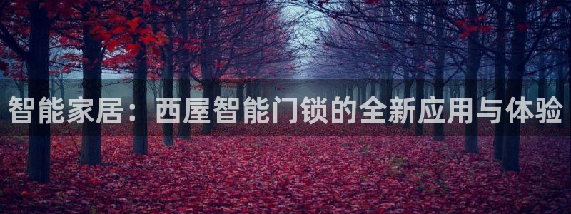 开丰娱乐注册登录：智能家居：西屋智能门锁的全新应用与体验