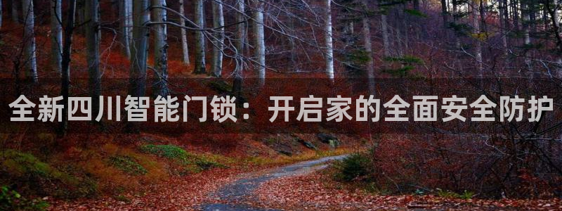 开丰娱乐左7O667：全新四川智能门锁：开启家的全面安全防护