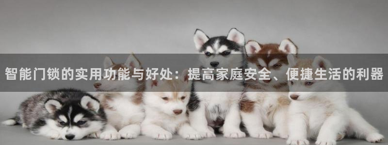 开丰娱乐平台地址：智能门锁的实用功能与好处：提高家庭安全、便