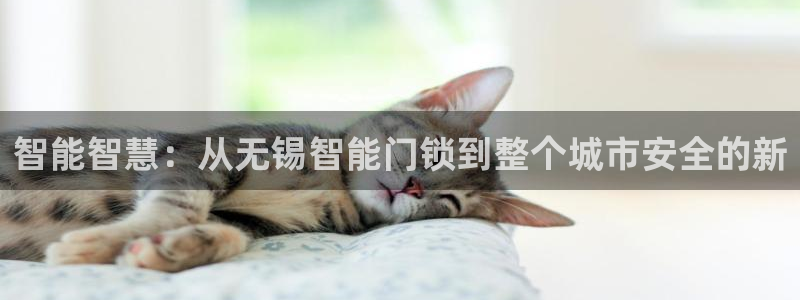 开丰娱乐怎么样：智能智慧：从无锡智能门锁到整个城市安全的新