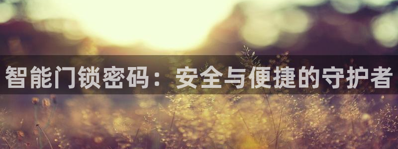开丰娱乐于六七五一38：智能门锁密码：安全与便捷的守护者