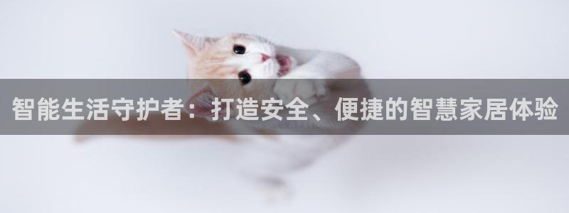开丰娱乐千67五壹叁八：智能生活守护者：打造安全、便捷的智慧