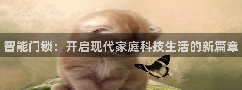 开丰娱乐登入地址在哪里：智能门锁：开启现代家庭科技生活的新篇