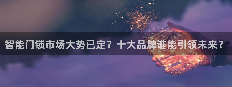 开丰娱乐联系q徽22212：智能门锁市场大势已定？十大品牌谁