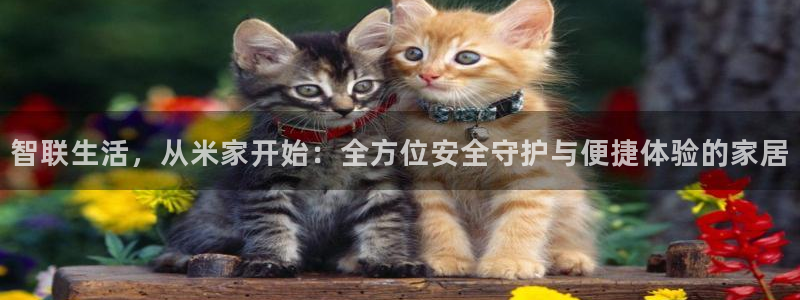 开丰娱乐寸67五壹叁八：智联生活，从米家开始：全方位安全守护