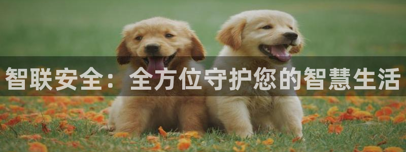开丰娱乐登录地址入口：智联安全：全方位守护您的智慧生活