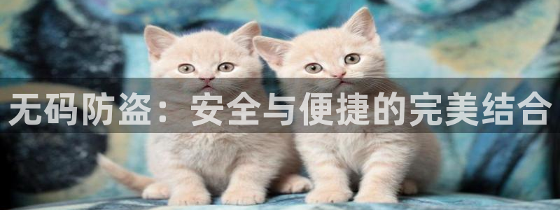开丰娱乐注册登录不了：无码防盗：安全与便捷的完美结合