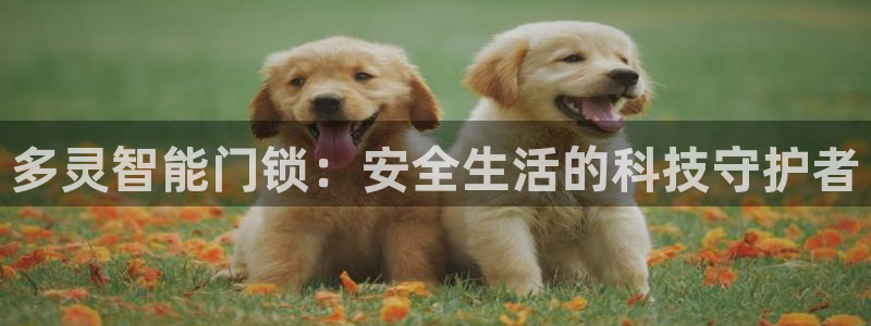 开丰娱乐官网：多灵智能门锁：安全生活的科技守护者