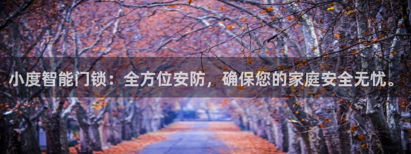 开丰娱乐注册资金多少：小度智能门锁：全方位安防，确保您的家庭