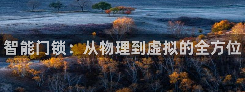 开丰娱乐违法吗：智能门锁：从物理到虚拟的全方位