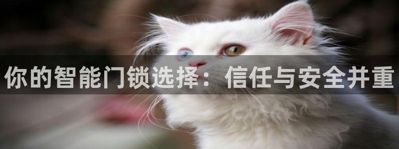 开丰娱乐除7O777：你的智能门锁选择：信任与安全并重