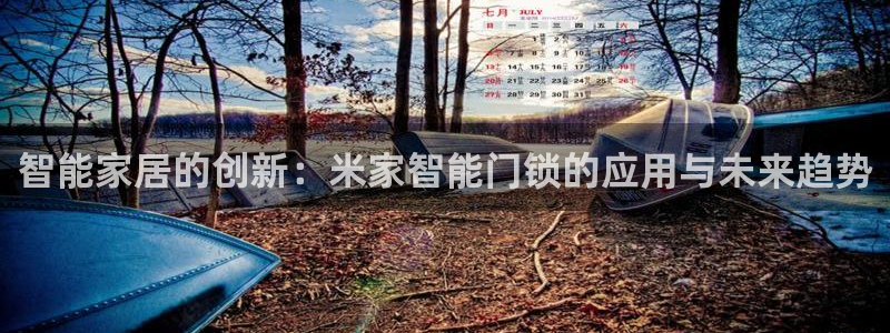 开丰娱乐注册登录不了：智能家居的创新：米家智能门锁的应用与未
