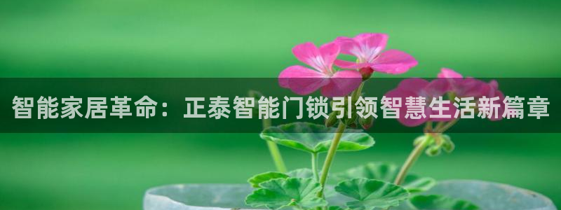 开丰娱乐官网首页：智能家居革命：正泰智能门锁引领智慧生活新篇