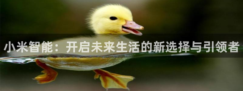 开丰娱乐联系q徽22212：小米智能：开启未来生活的新选择与