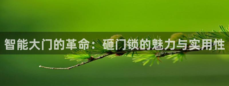 开丰娱乐平台地址电话：智能大门的革命：砸门锁的魅力与实用性