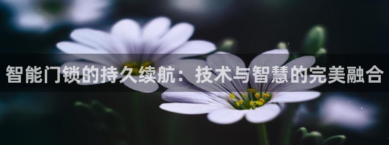 开丰娱乐乙833_43：智能门锁的持久续航：技术与智慧的完美