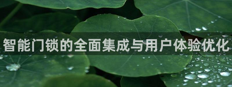 开丰娱乐联系q徽22212：智能门锁的全面集成与用户体验优化