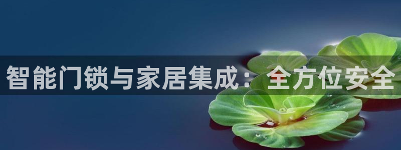 开丰娱乐平台提现失败：智能门锁与家居集成：全方位安全