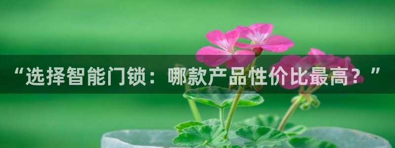 开丰娱乐登入：“选择智能门锁：哪款产品性价比最高？”