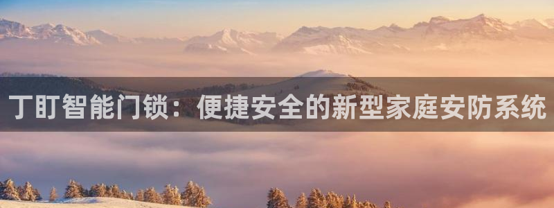 开丰娱乐登录：丁盯智能门锁：便捷安全的新型家庭安防系统