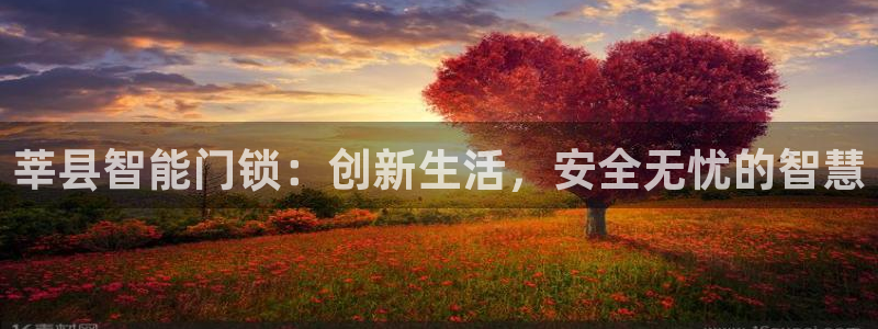 开丰娱乐主管家去判官333OO：莘县智能门锁：创新生活，安全