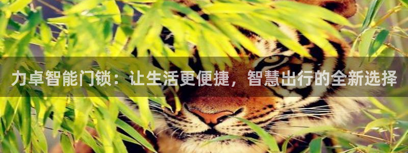 开丰娱乐地址查询：力卓智能门锁：让生活更便捷，智慧出行的全新