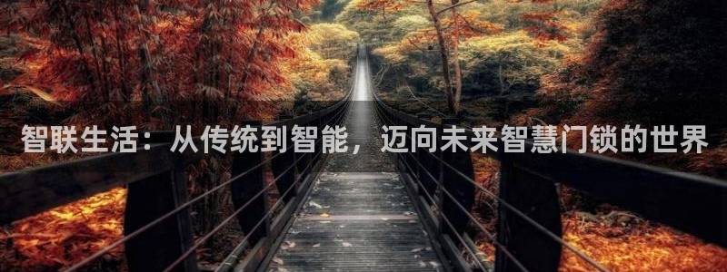 开丰娱乐注册登录不了：智联生活：从传统到智能，迈向未来智慧门