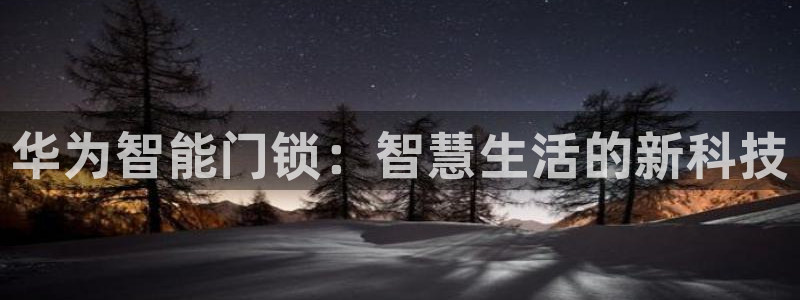 开丰娱乐趣 7O935：华为智能门锁：智慧生活的新科技