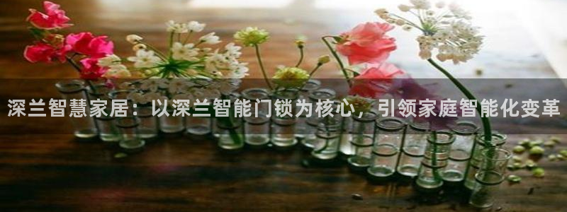 开丰娱乐登陆地址：深兰智慧家居：以深兰智能门锁为核心，引领家