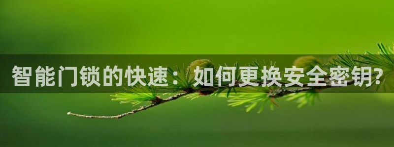 开丰娱乐登录：智能门锁的快速：如何更换安全密钥?