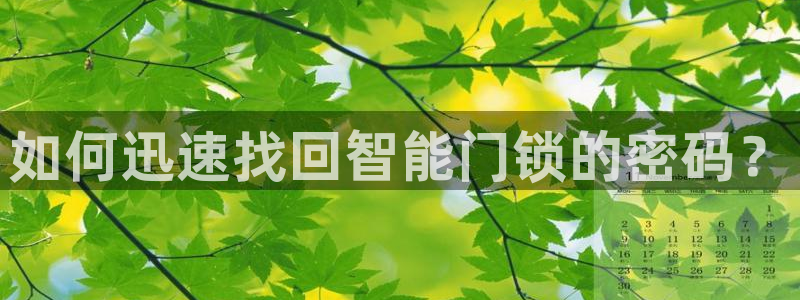 开丰娱乐联系q徽22212：如何迅速找回智能门锁的密码？