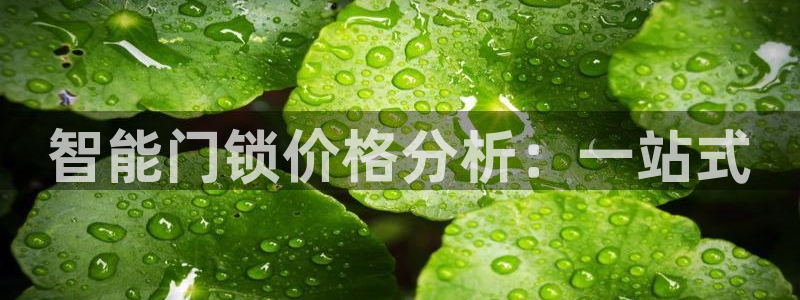 开丰娱乐：智能门锁价格分析：一站式